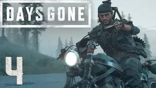 Days Gone #4