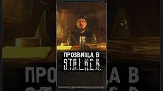 ПРОЗВИЩА В S.T.A.L.K.E.R. #shorts #игры #игрынапк #stalker