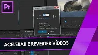 Tutorial Adobe Premiere: Como Acelerar, Desacelerar ou Reverter Vídeos - SPEED/DURATION