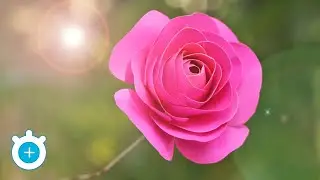 How to Make Realistic Paper Rose Flower | LampZoom