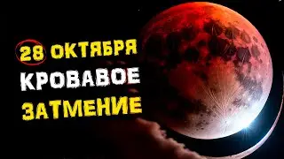 October 28 Bloody FULL MOON | Powerful Lunar ECLIPSE in Taurus | 