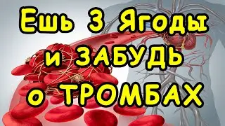 Эти 3 ягоды ПОЗВОЛЯТ НАВСЕГДА ЗАБЫТЬ о ТРОМБАХ и ГУСТОЙ КРОВИ 👍 Это НАДО ЗНАТЬ !