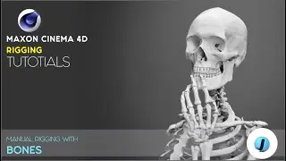 Cinema 4D | Rigging Tutorial || Manual Rig with Bones