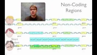 DNA Fingerprinting