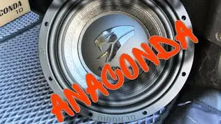 Сабвуфер DL-Audio ANACONDA 10. SQ-сабвуфер с напористым характером