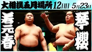 大相撲　若元春ー琴櫻＜令和６年五月場所１２日目＞SUMO