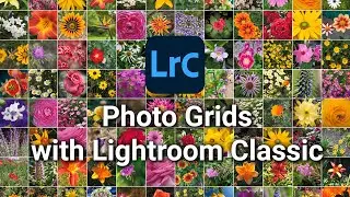 Photo Grids with Lightroom Classic