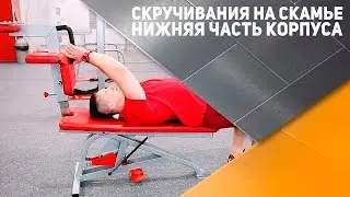 Скручивания на скамье (нижняя часть корпуса): техника выполнения [Спортивный Бро]