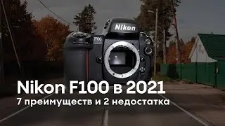 Nikon F100. Самая недооцененная пленочная камера в 2021. Переубедите меня.