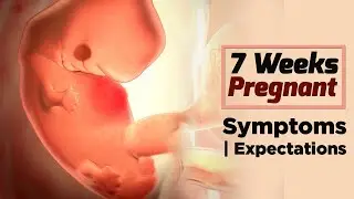 7 Weeks Pregnant Womens Health | Care Tips For Pregnant Lady - Problems Faced By Pregnant Women