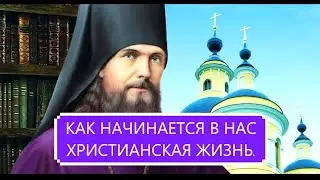ФЕОФАН ЗАТВОРНИК / КАК НАЧИНАЕТСЯ В НАС ХРИСТИАНСКАЯ ЖИЗНЬ.