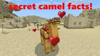 Top 10 Hidden Facts About Camels in Minecraft