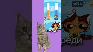Кто смешнее? 🐱 