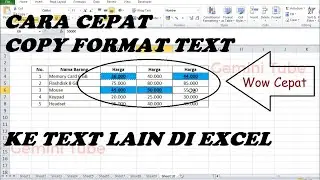 Cara Cepat Copy Format Text untuk Diterapkan pada Text Lain di Excel // Tips dan Trik Excel