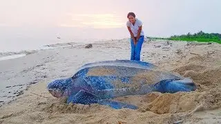 Многие Вещи На Самом Деле Больше, Чем Вы Себе До Этого Представляли