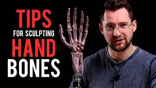 The Bones of the Hand for Sculptors