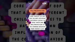 Example of Polymorphism in object oriented programming 