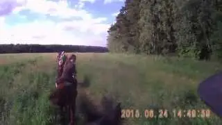 Верховая езда, выезд в поля (ШВЕ Династия 24.06.2015г) ч.3