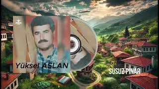 Yüksel Aslan - Susuz Pınar