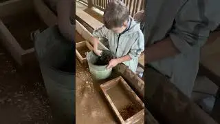 Happy Daniel and Gem Storm Mining / Vacation/ Данила и Добыча Корней в Горах😎🧗🏼‍♀️⛰️🌋🏔️