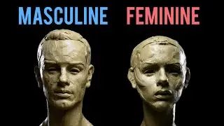 How to Sculpt a Man or Woman - 10 Key Anatomical Differences