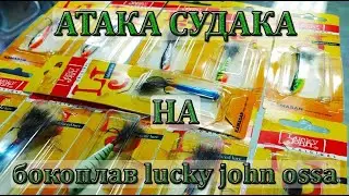 Поклевка судака на бокоплав lucky john ossa, атака судака, ловля судака на бокоплав.