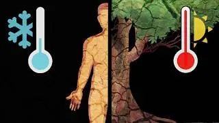 HUMAN SKIN & TREE BARK. What's common?