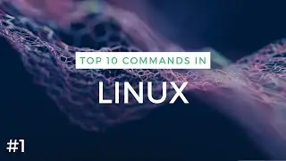 Basic Linux Commands for Beginners (Part 1)