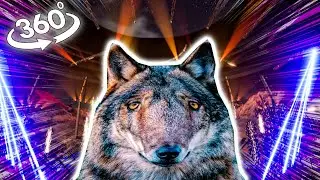 Dancing Wolf Meme  feat GEGAGEDIGEDAGEDAGO | BIG CONCERT 2024