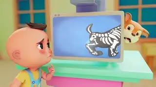 ¡Mi perro se lastimó + Más canciones infantiles, rimas infantiles y videos educativos!