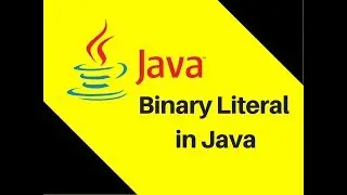 4.4 Binary Literal in Java