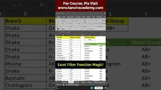 Excel Filter function Magic!  #excelbangla #exceltips