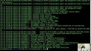 Linux. Введение в скрипты bash. grep (4)