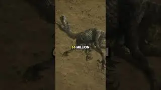 Dinosaurs Would Still Be Around? 🦖 w/ Neil deGrasse Tyson