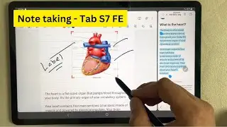 Note Taking On Samsung Galaxy Tab S7 FE