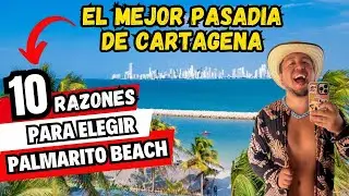 🏝️PALMARITO BEACH ✅10 RAZONES por las que Debes Hacer este PASADIA en Cartagena 🎉🇨🇴