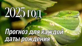 2025 год: прогноз по каждой дате рождения ✔ Нумерология