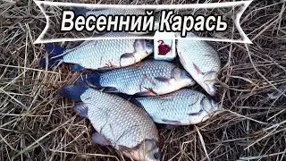 Крупный карась ЗАГИБАЕТ донку 🎣. Рыбалка весной, ловля в марте.