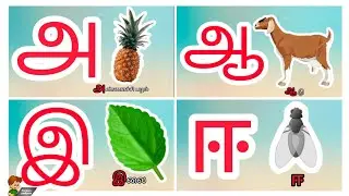 உயிர் எழுத்துக்கள்|அ ஆ இ ஈ |learn Tamil alphabets