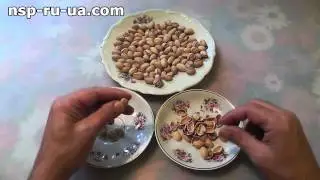 Как открыть фисташку