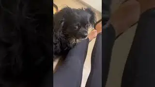 8 Minutes of Girls Farting