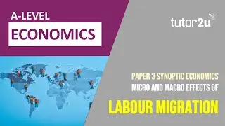 Micro and Macro Aspects of Labour Migration | Synoptic Paper 3 | A Level Economics