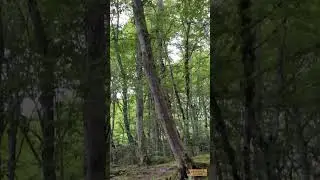 Природа. Релакс.