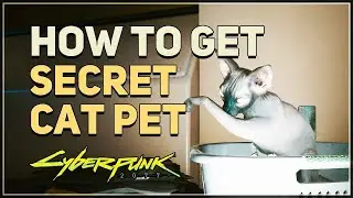 How to get Secret Cat Pet Cyberpunk 207