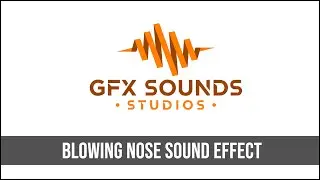 Loud Blowing Nose Sound Effect