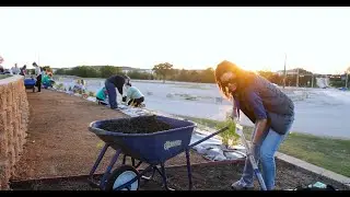 Pollinator Garden at the City of Denton Landfill