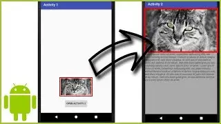 Shared Element Transition - Android Studio Tutorial