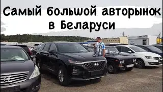 АВТОРЫНОК М￼АЛИНОВКА в Беларуси машин становится больше цены