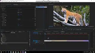 Tutorial 2 Minute Streching Spin Transition ( Adobe Premiere Pro Tutorial )