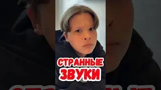 Странные звуки в доме 